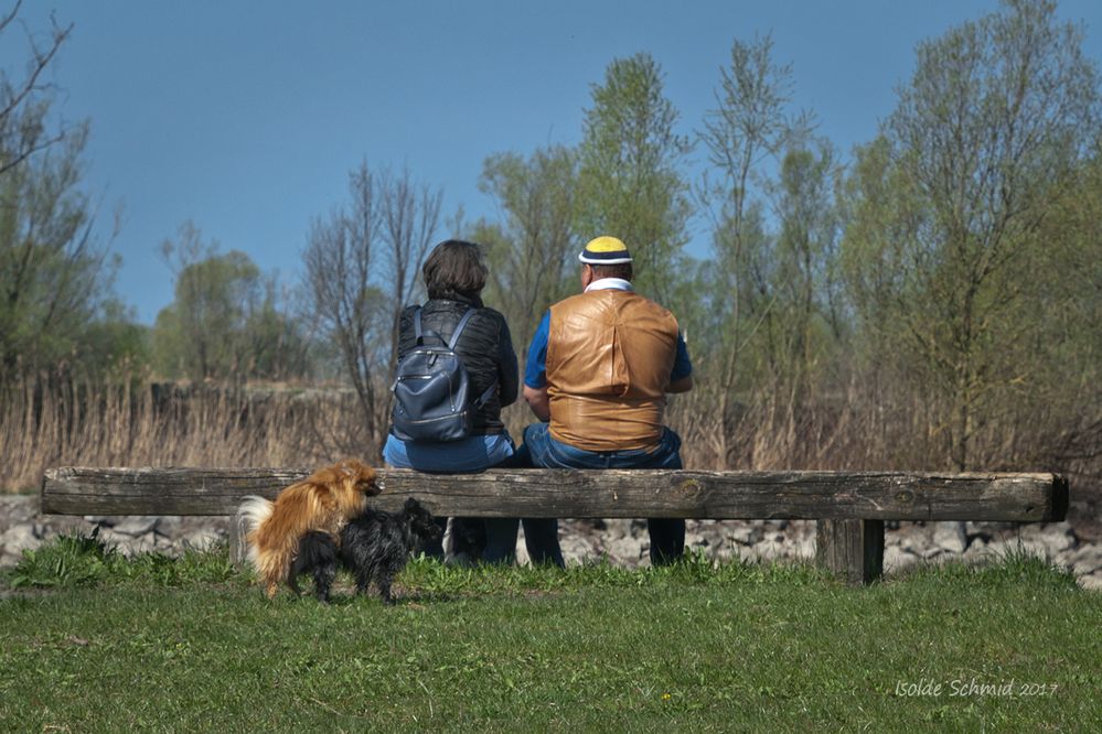 Frühlingserwachen