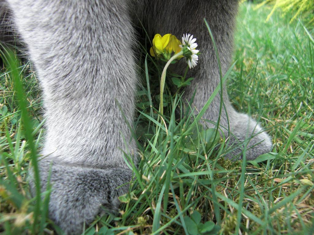 Frühlingserwachen