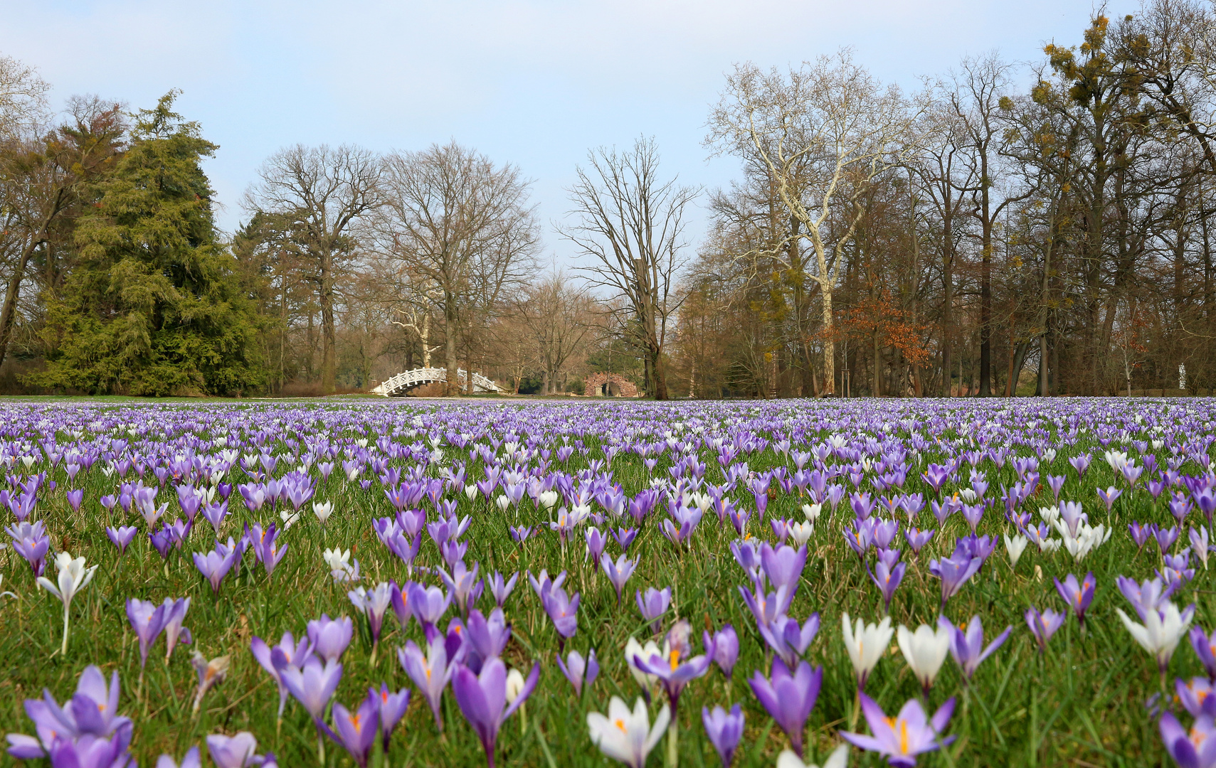 Frühlingserwachen