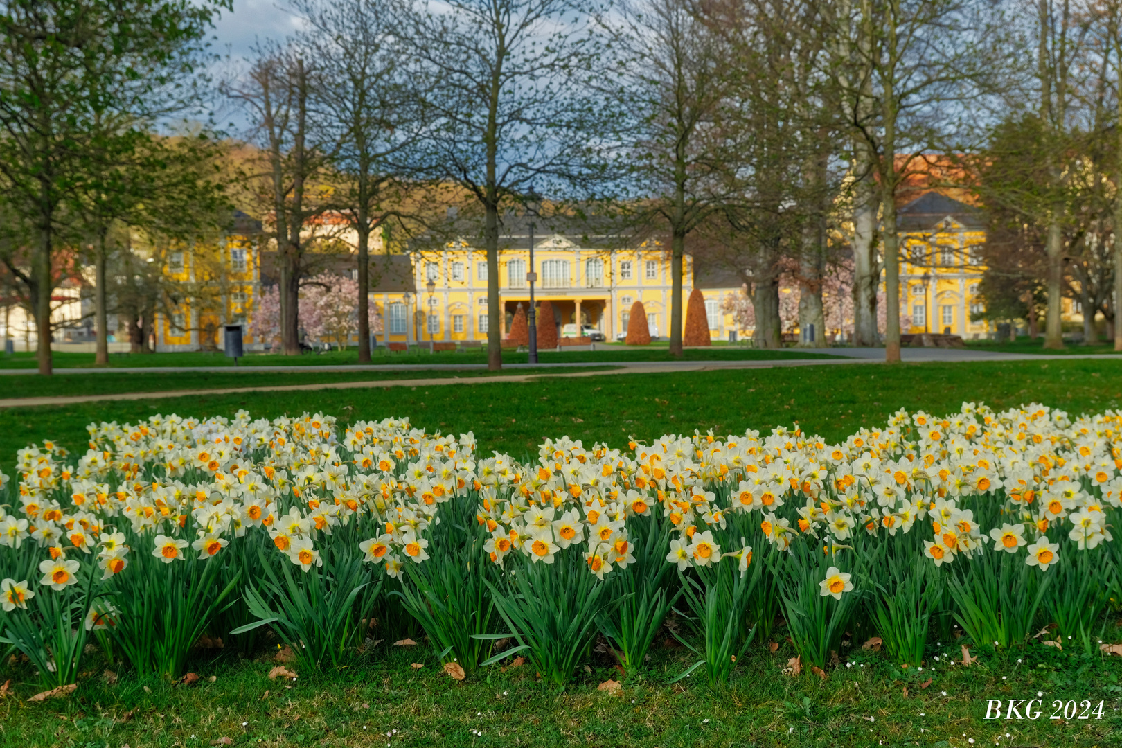 Frühlingserwachen