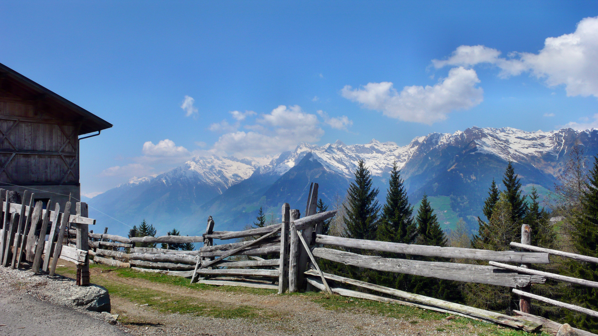 Frühlingserwachen