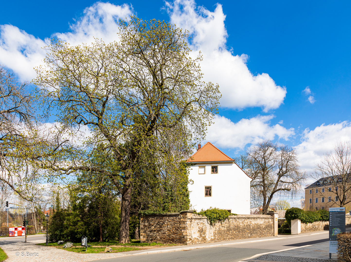 Frühlingserwachen (4)