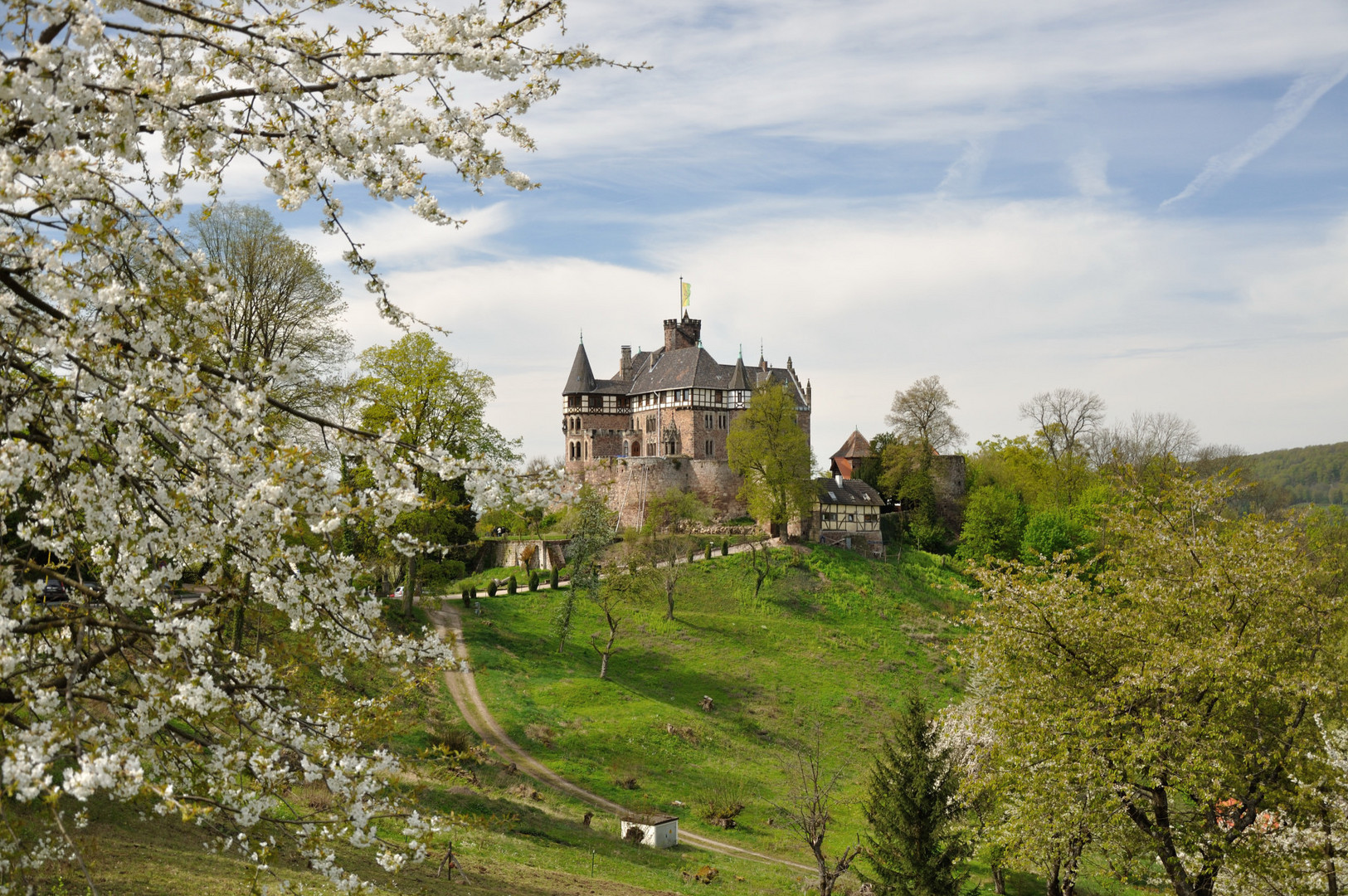 Frühlingserwachen