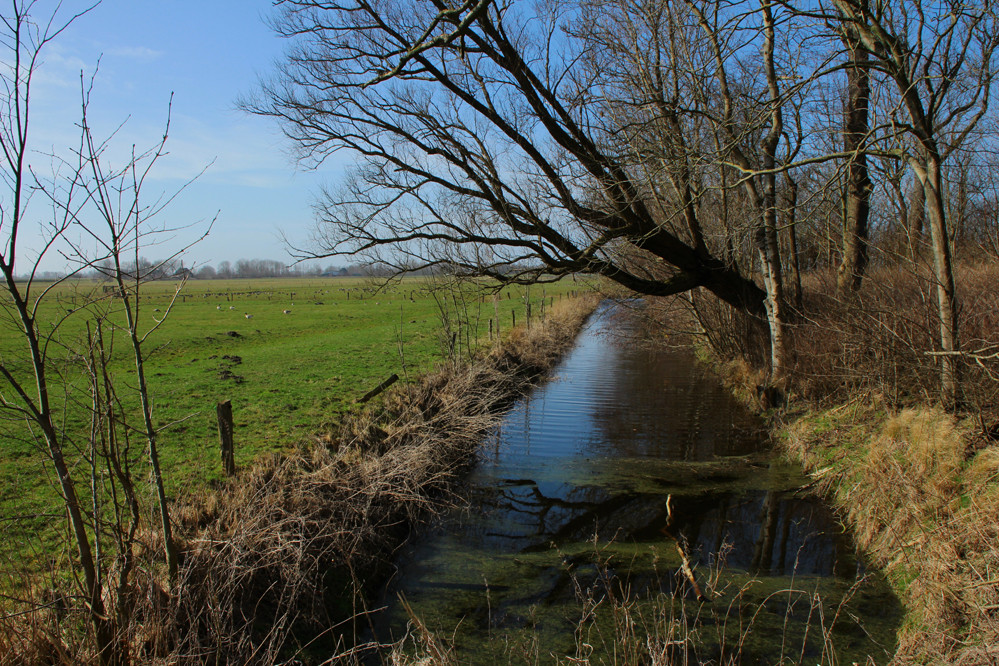 Frühlingserwachen