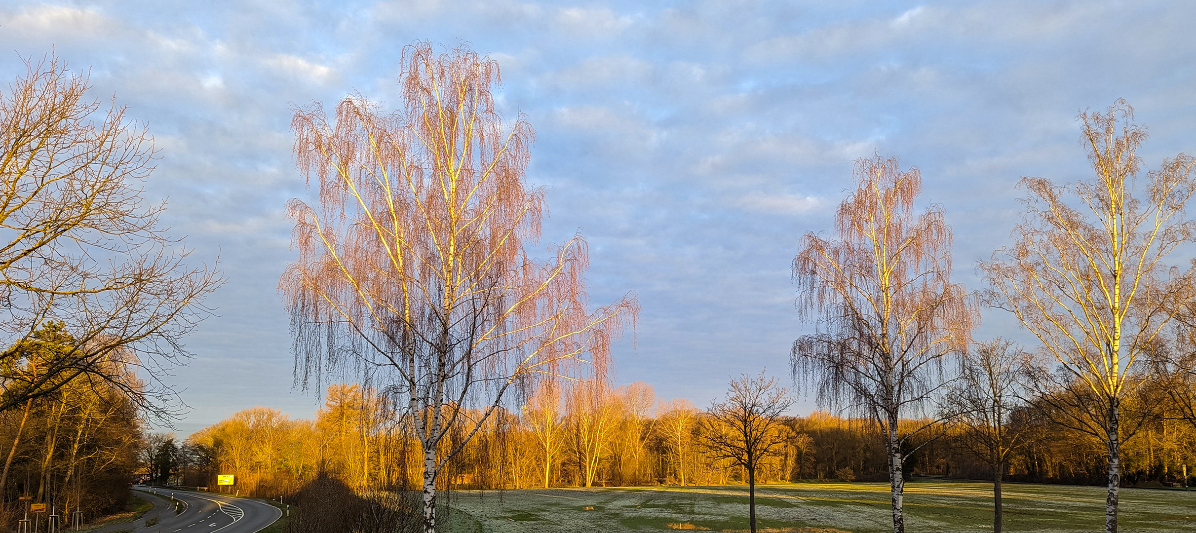 Frühlingserwachen