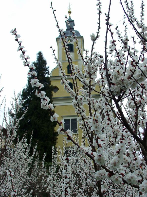 Frühlingserwachen