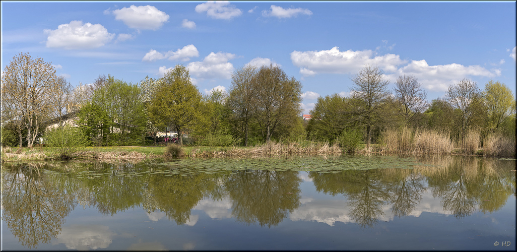 Frühlingserwachen