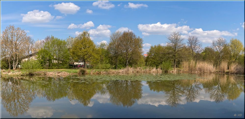 Frühlingserwachen