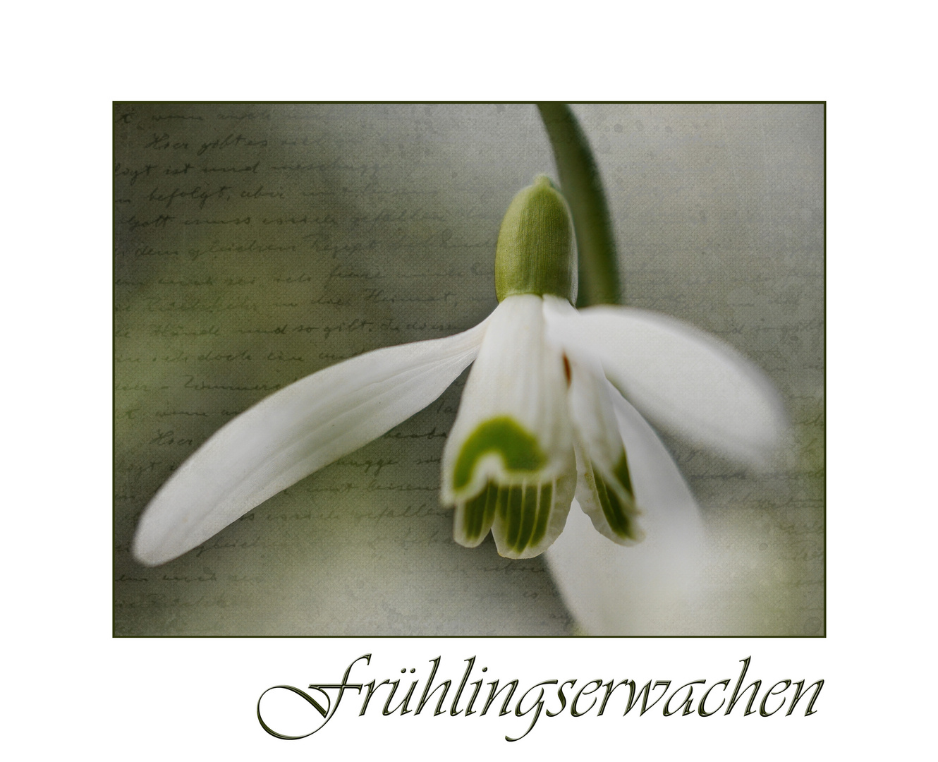 Frühlingserwachen