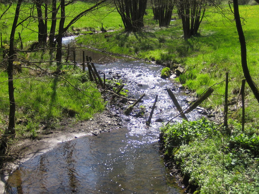 Frühlingserwachen