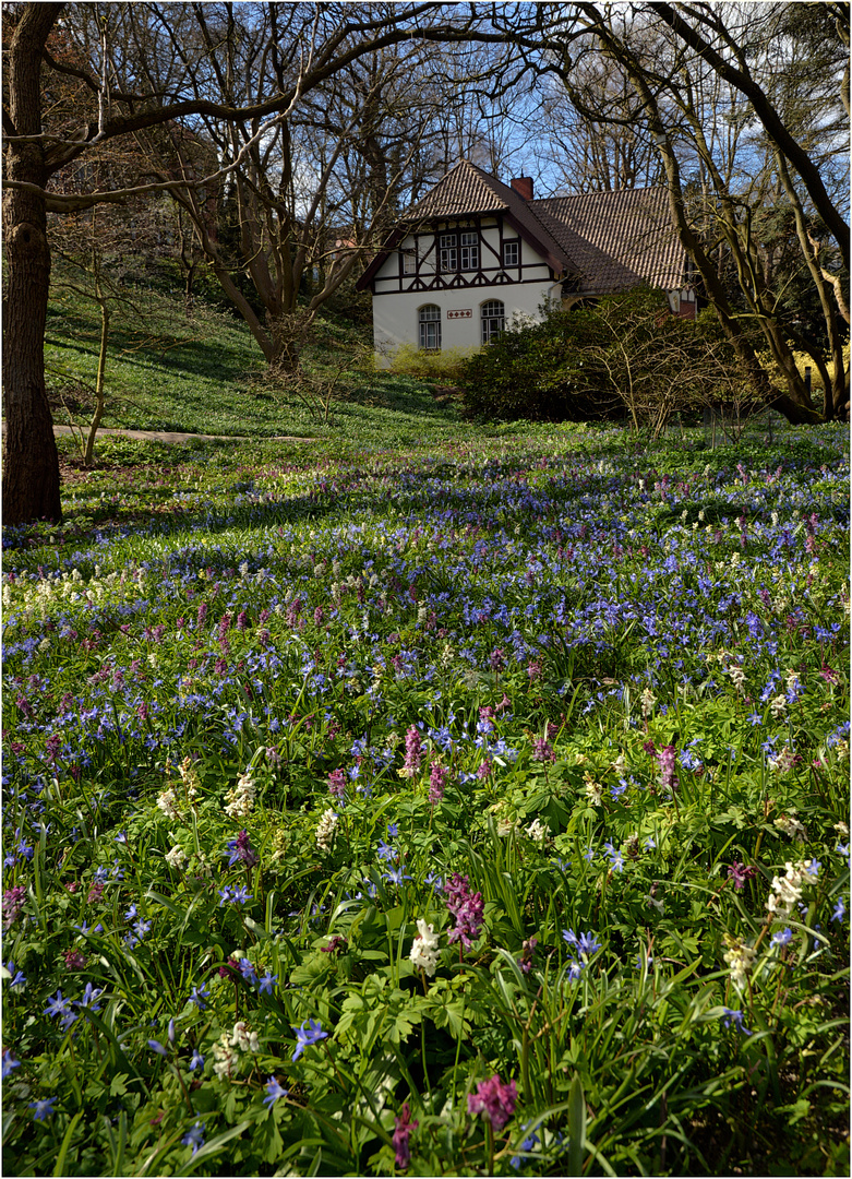 Frühlingserwachen