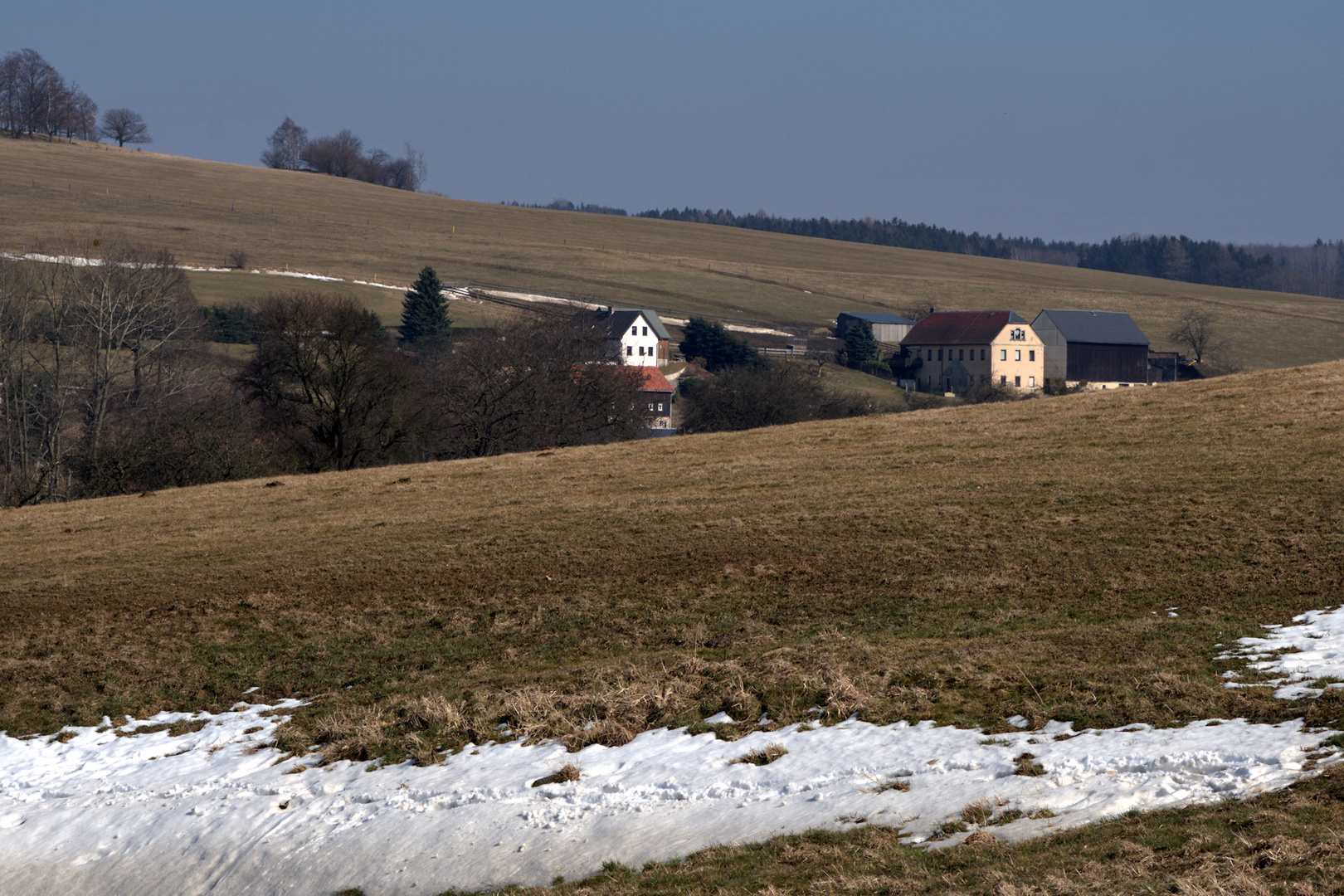 Frühlingserwachen