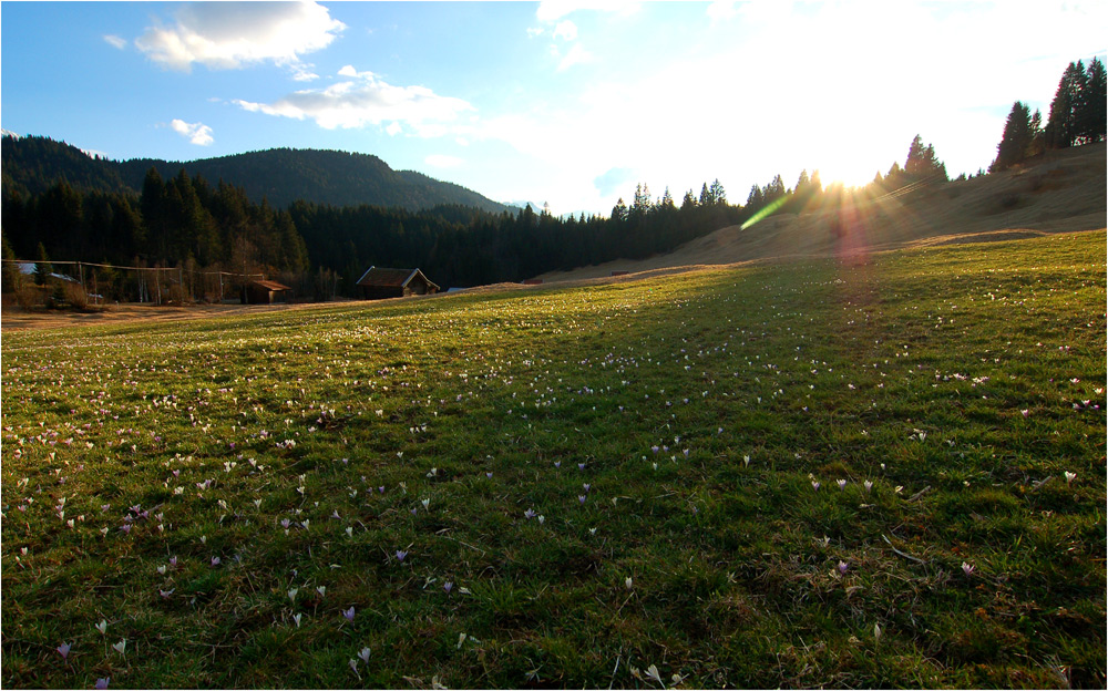 Frühlingserwachen