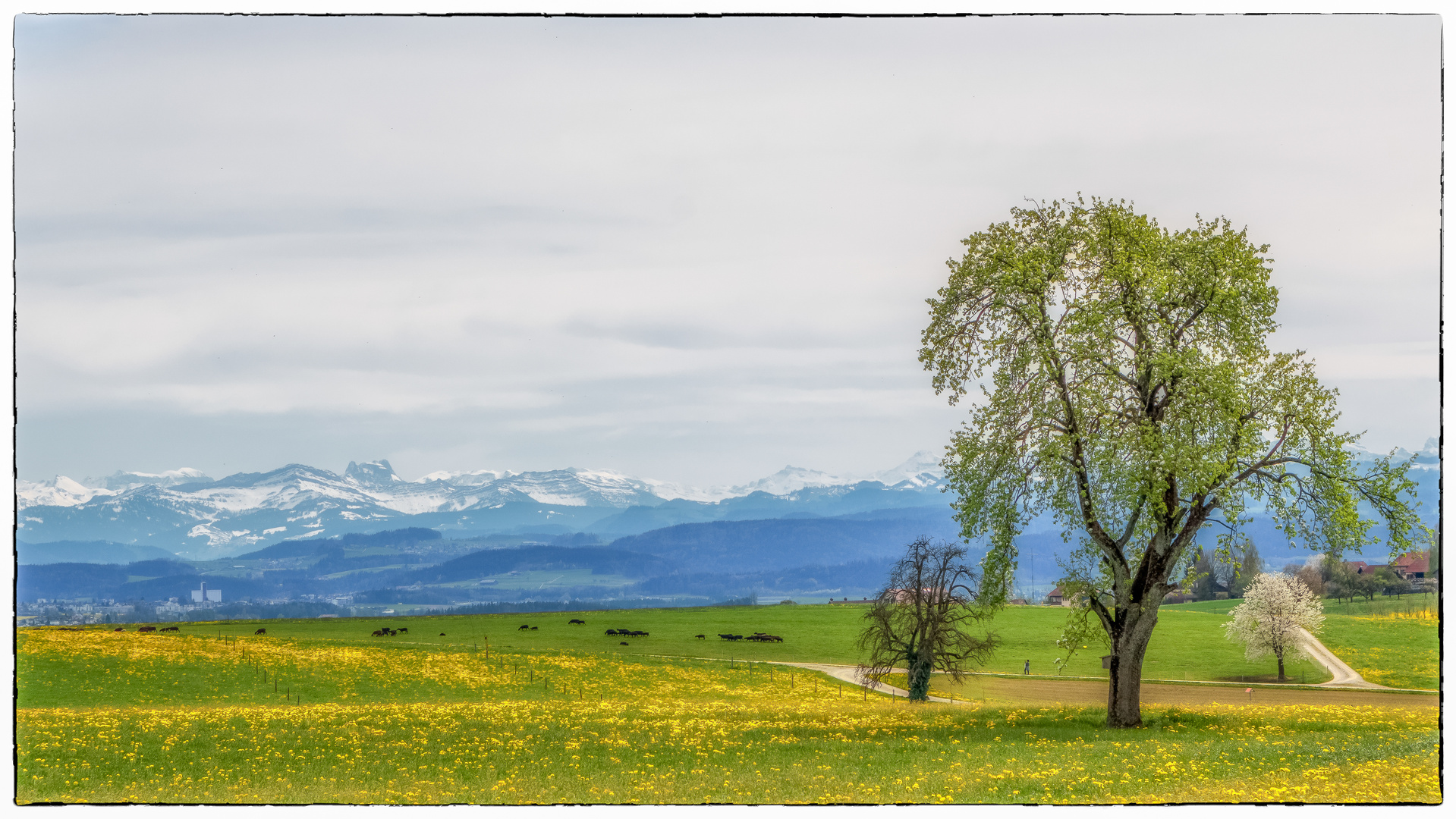 Frühlingserwachen