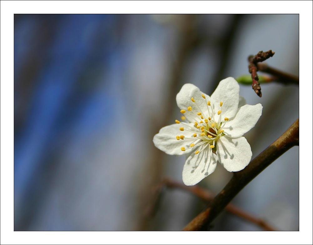 *\. Frühlingserwachen ./*