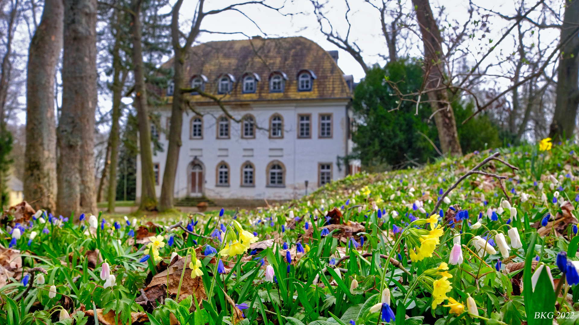 Frühlingserwachen