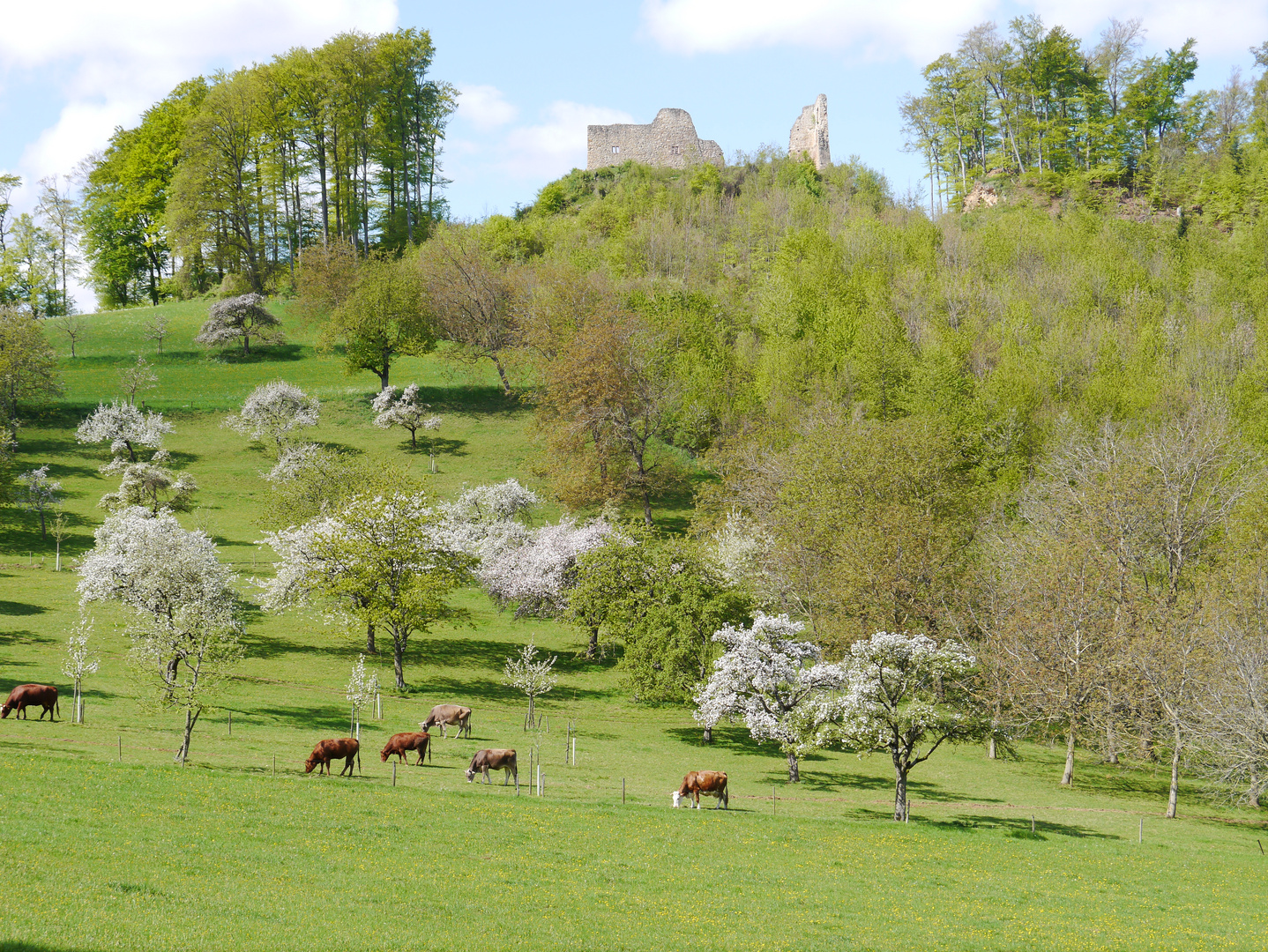 Frühlingserwachen