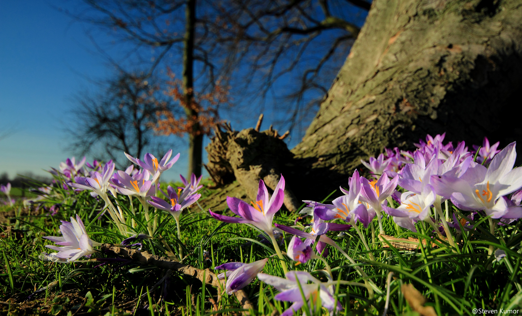 Frühlingserwachen... Foto & Bild landschaft, jahreszeiten, garten