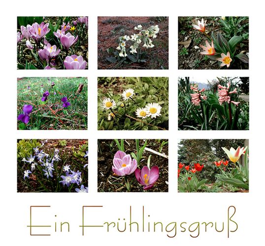 Frühlingserwachen