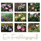 Frühlingserwachen