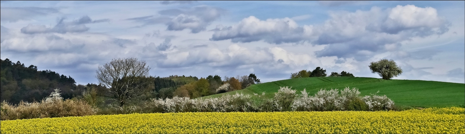 Frühlingserwachen