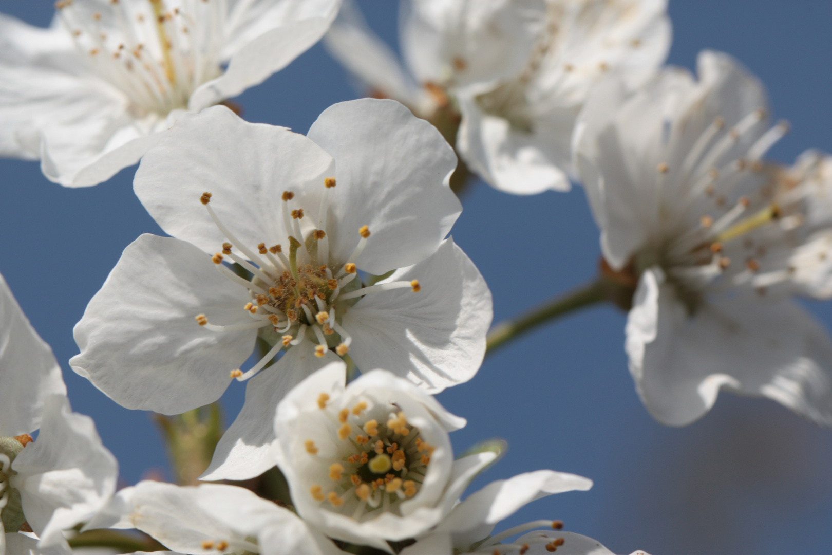 Frühlingserwachen