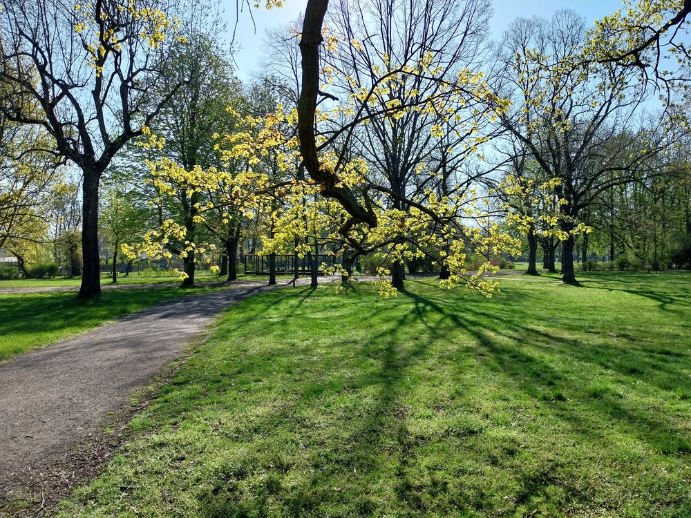 Frühlingserwachen