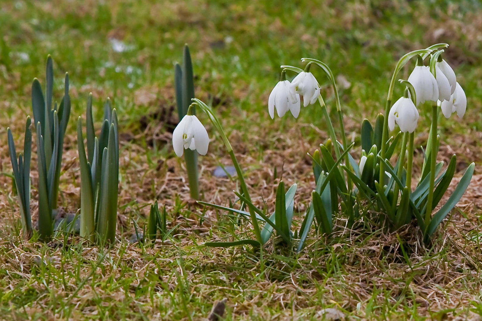 Frühlingserwachen...