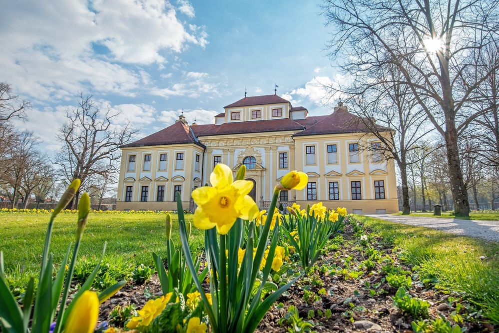 ::. Frühlingserwachen .::