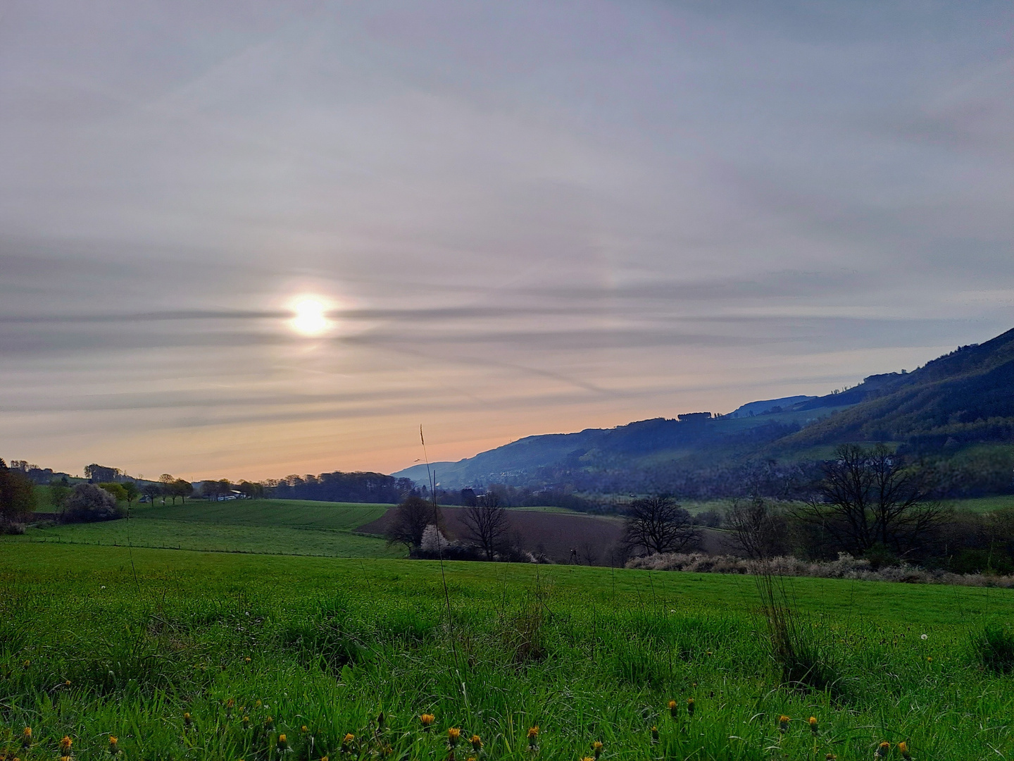 Frühlingserwachen