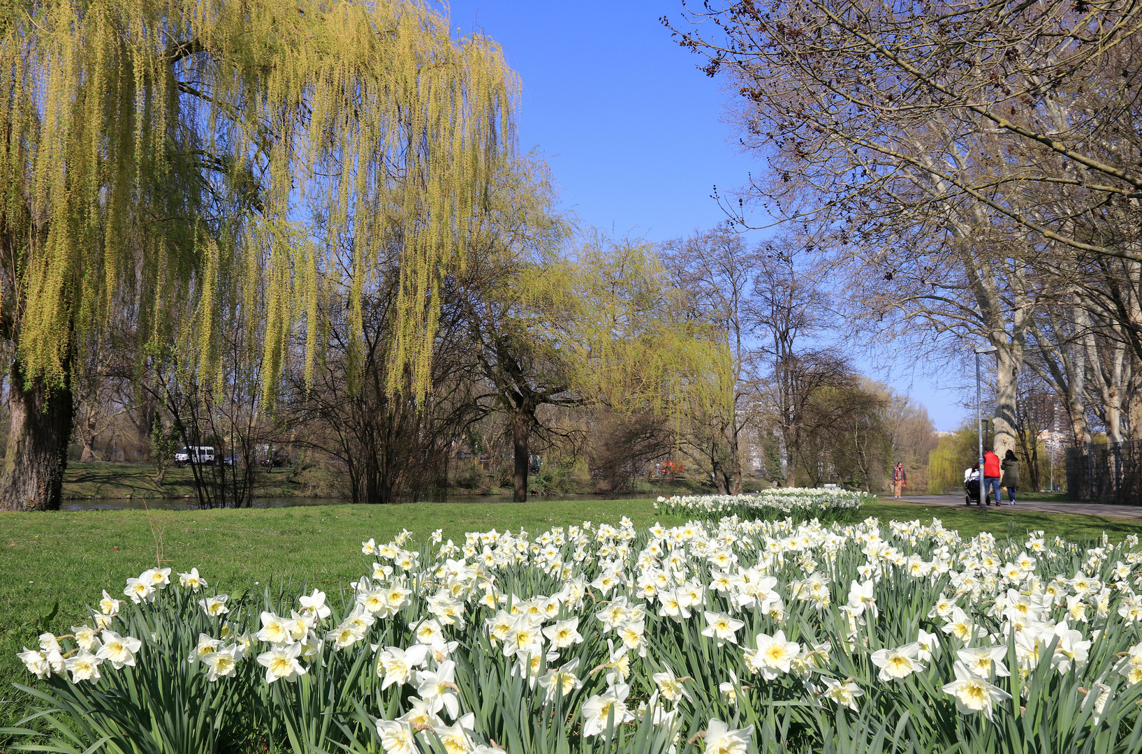 Frühlingserwachen