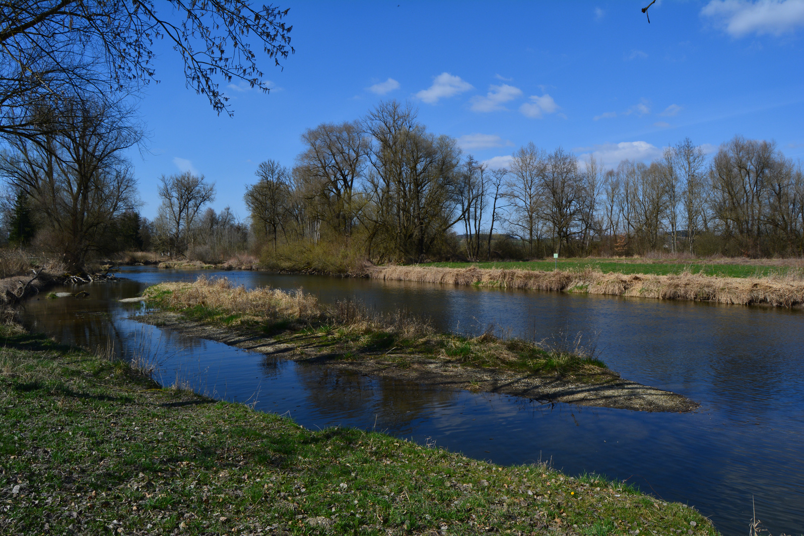 Frühlingserwachen