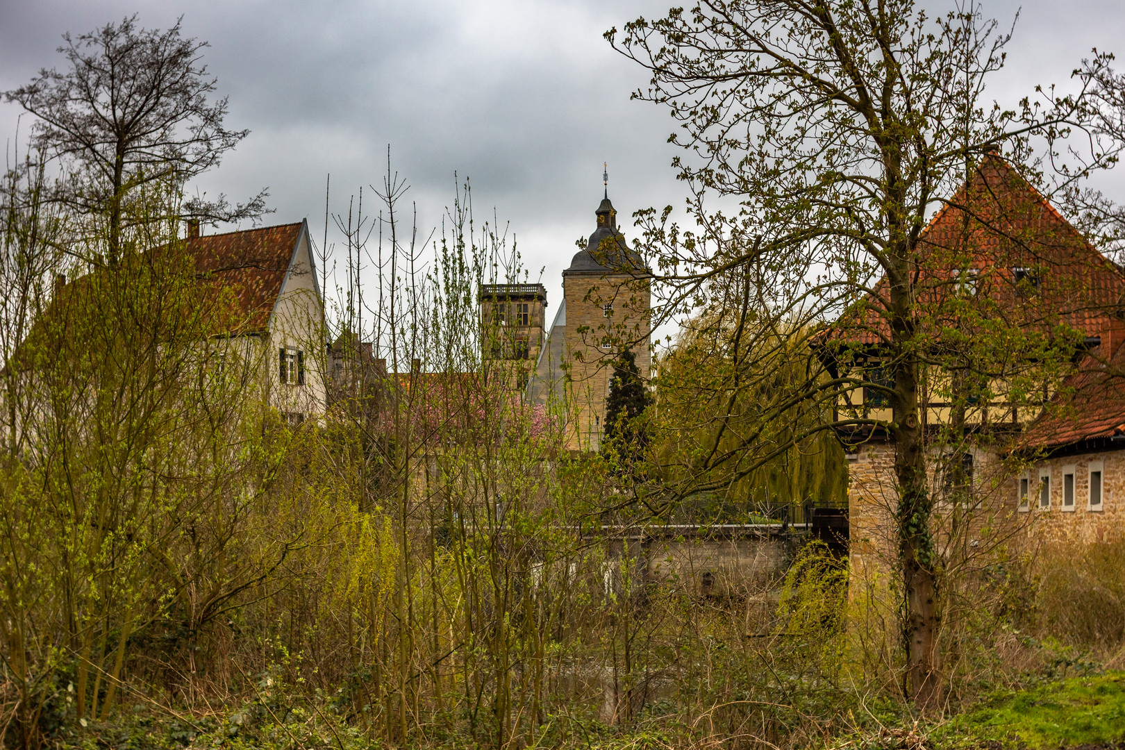 Frühlingserwachen