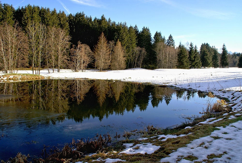 Frühlingserwachen