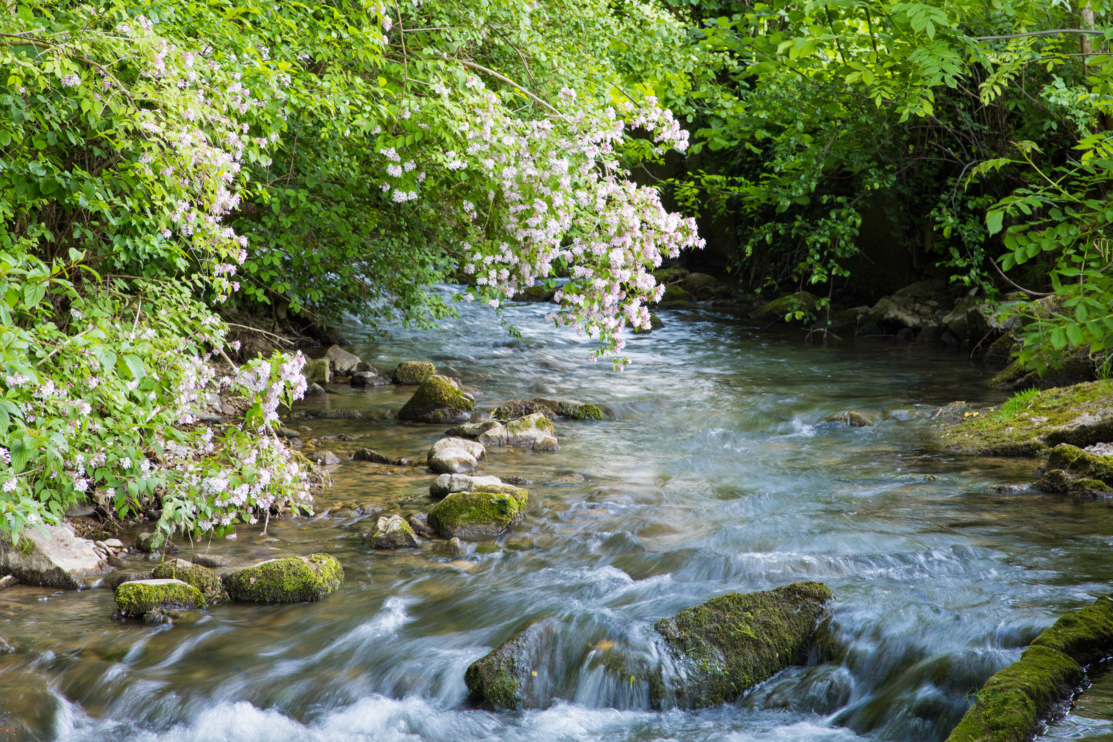 Frühlingserwachen