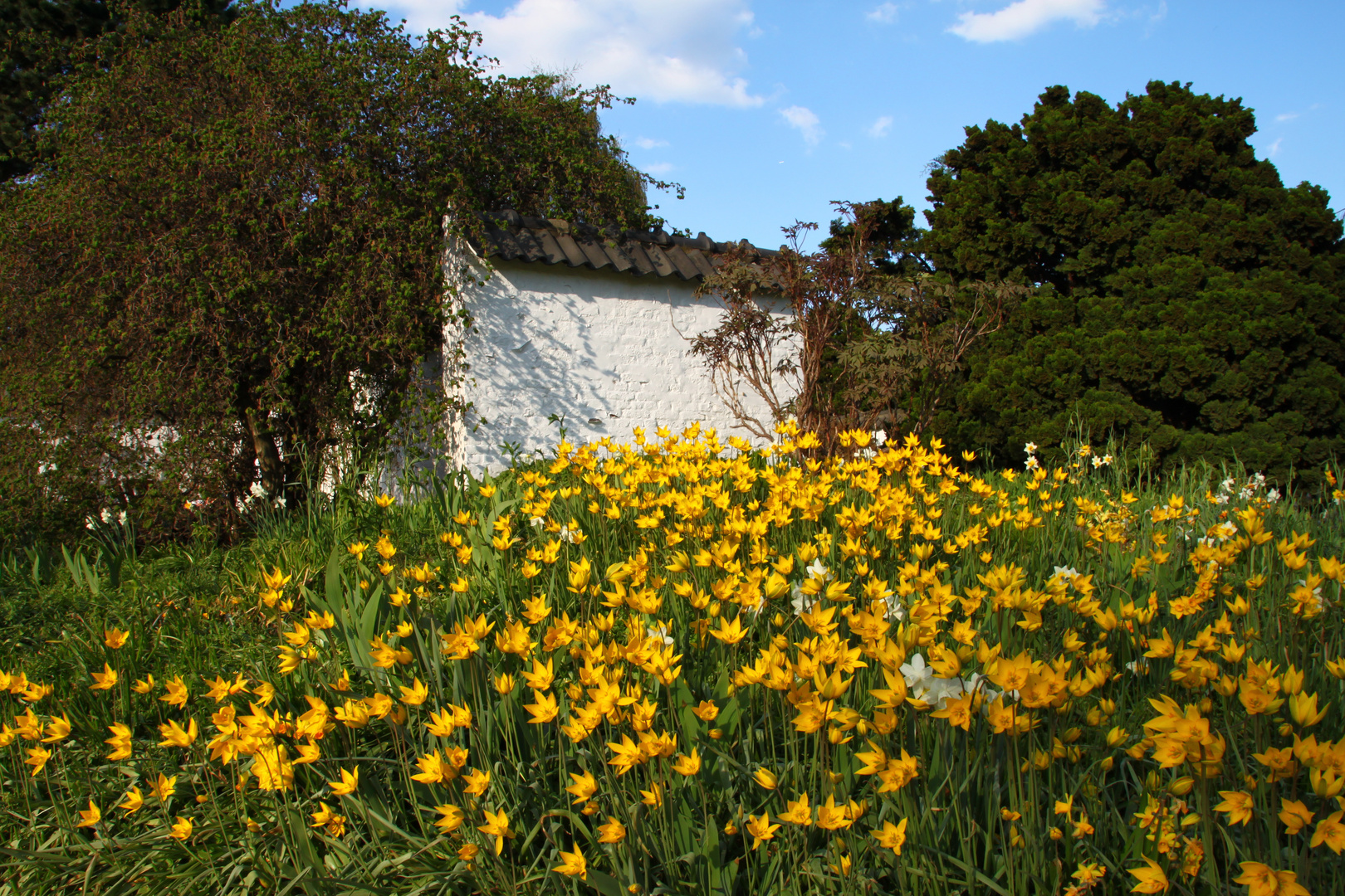 Frühlingserwachen