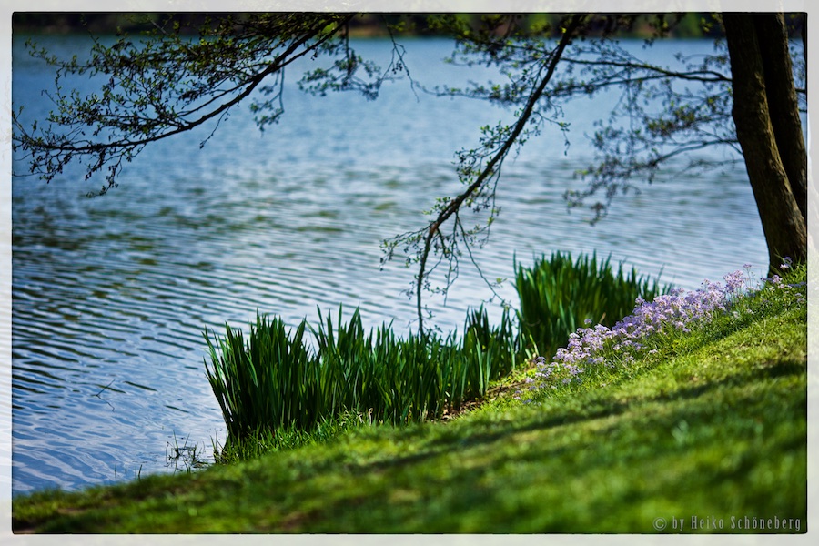 Frühlingserwachen...