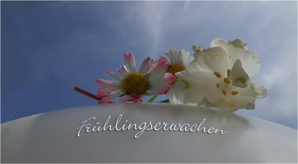 Frühlingserwachen