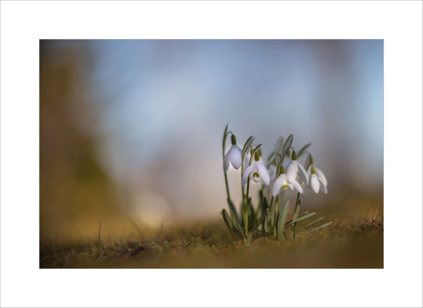 Frühlingserwachen