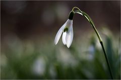 Frühlingserwachen...