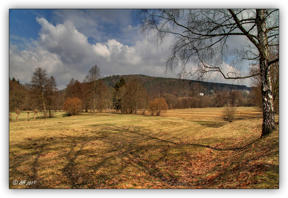 Frühlingserwachen