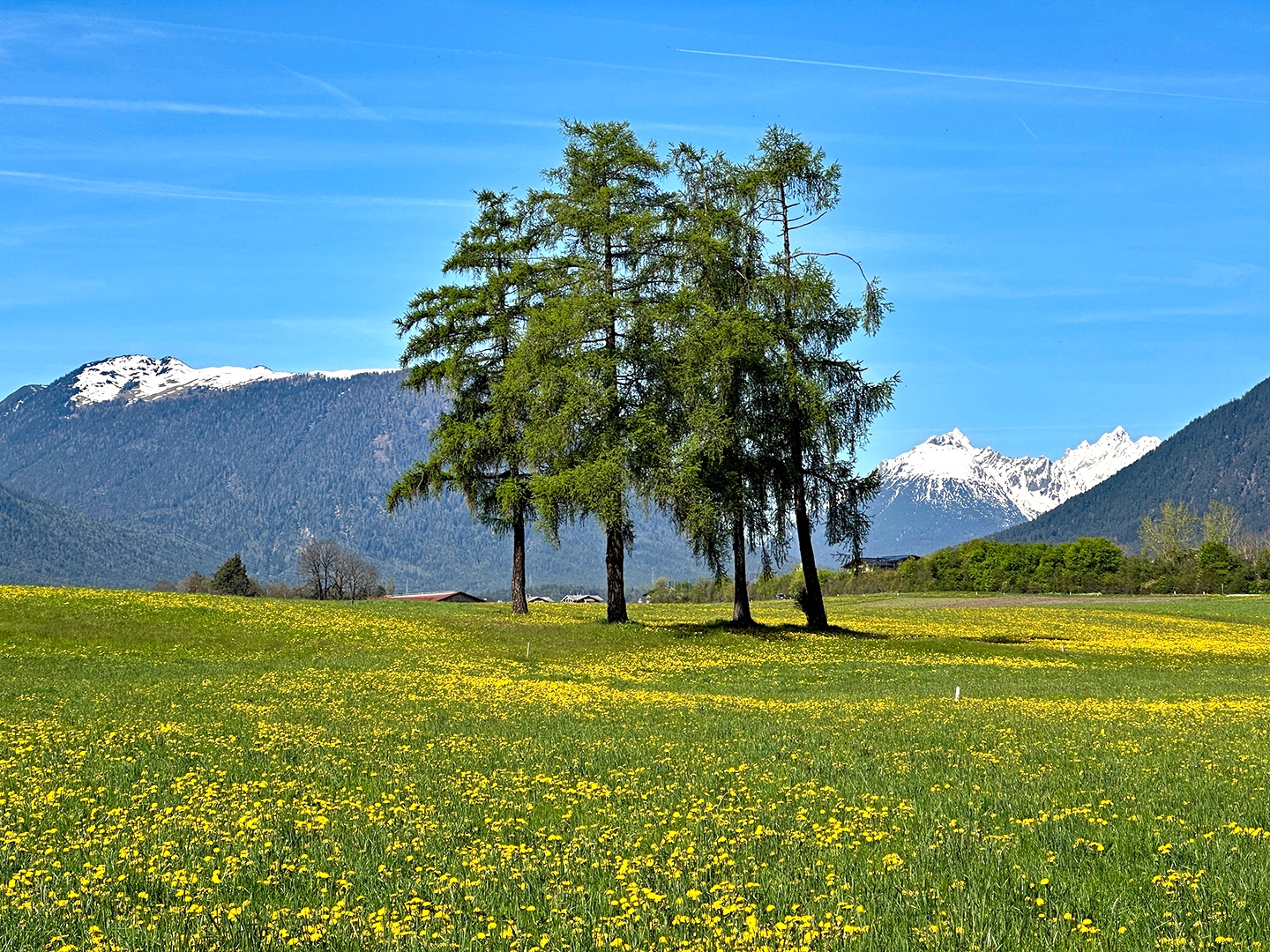 Frühlingserwachen 