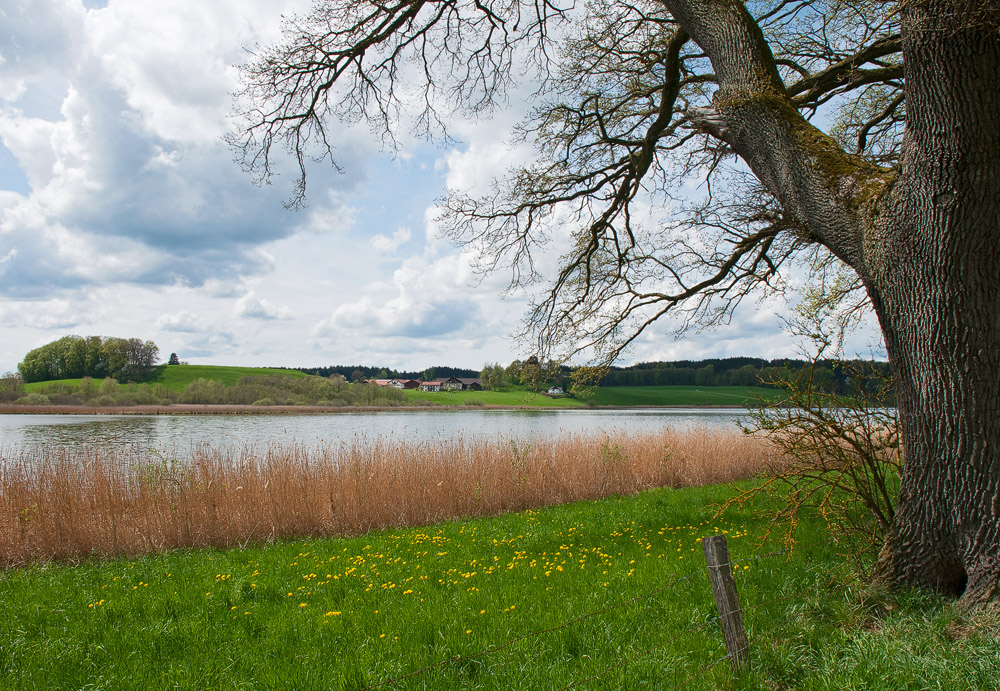 Frühlingserwachen am Egglburgersee