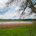 Frühlingserwachen am Egglburgersee