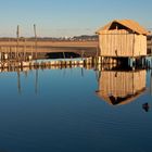 Frühlingserwachen am Federsee