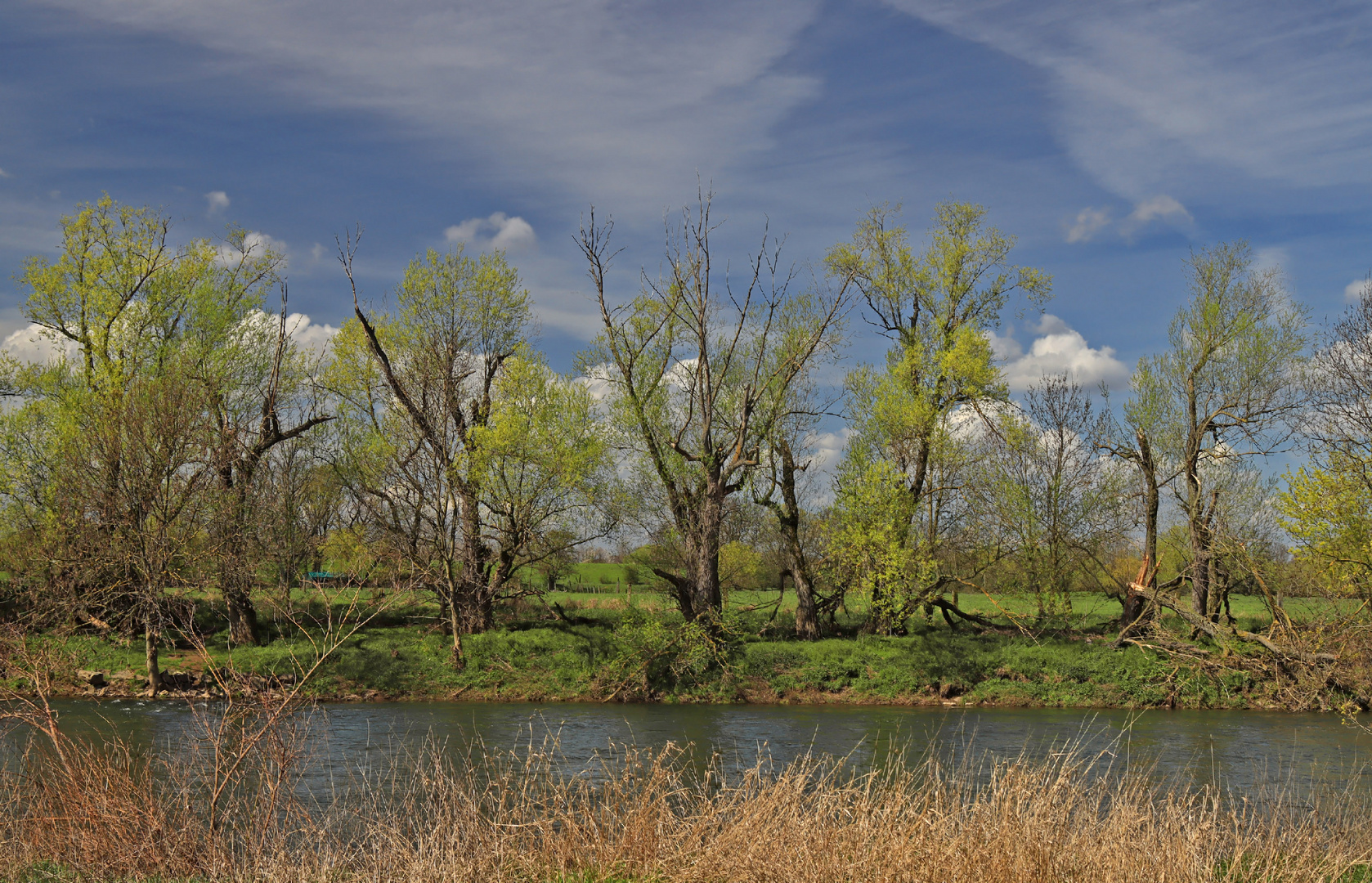 Frühlingserwachen am Fluss