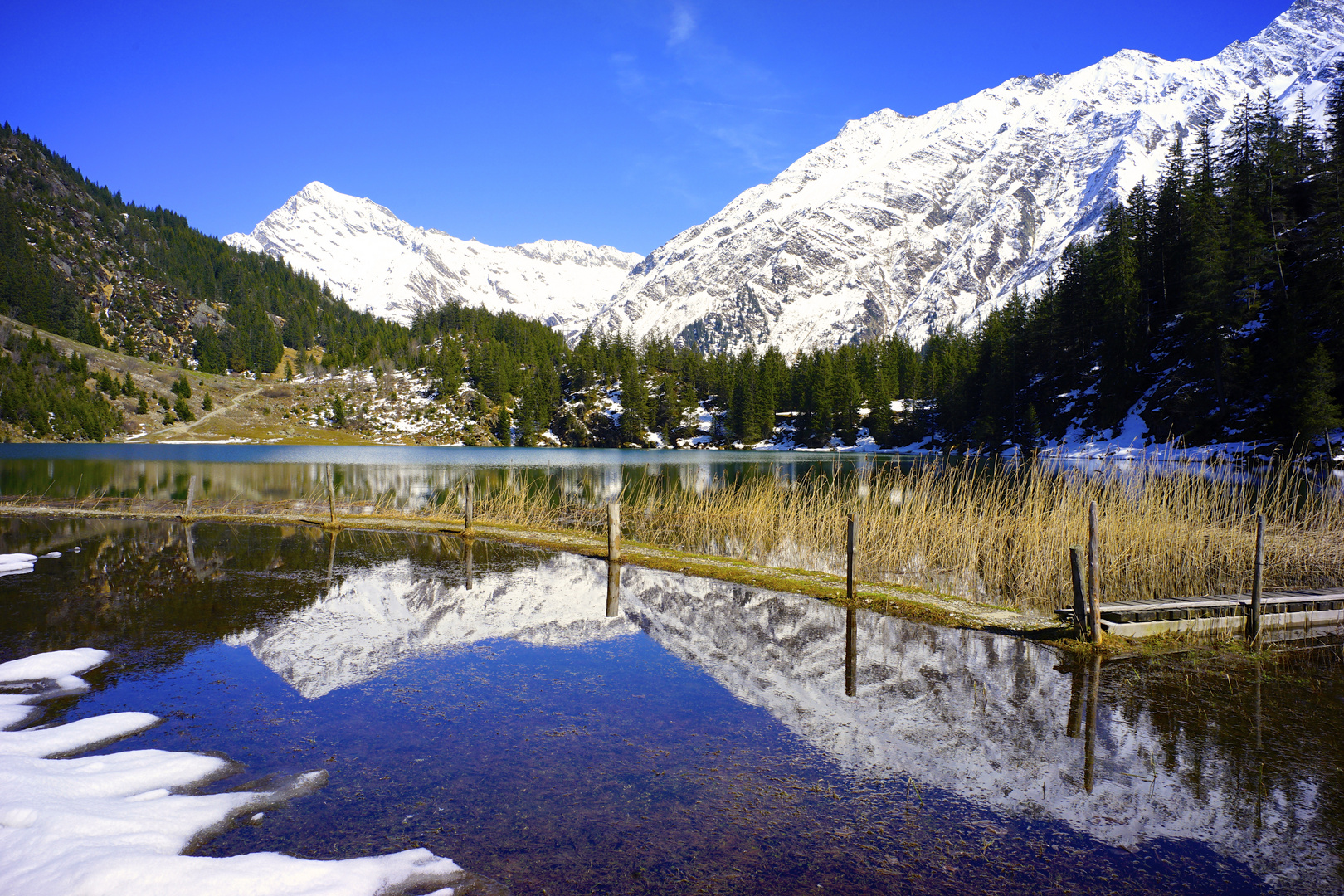 Frühlingserwachen am Golzernsee