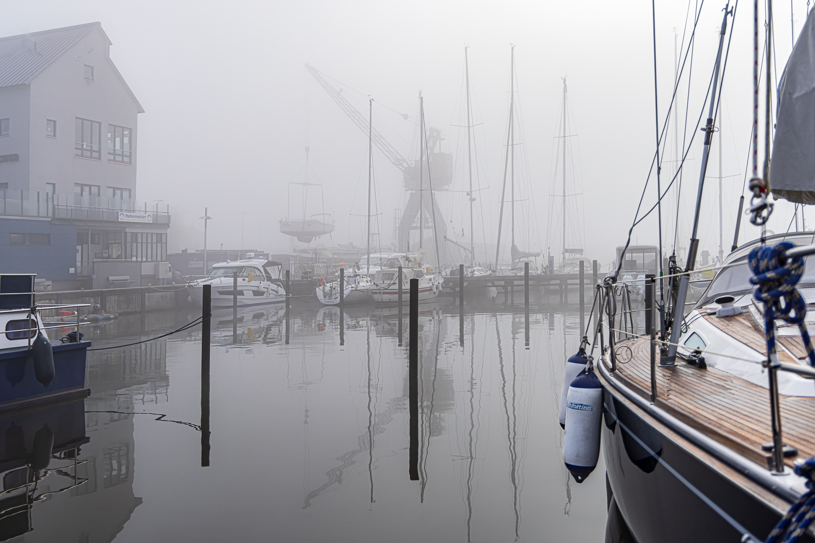 Frühlingserwachen am Hafen