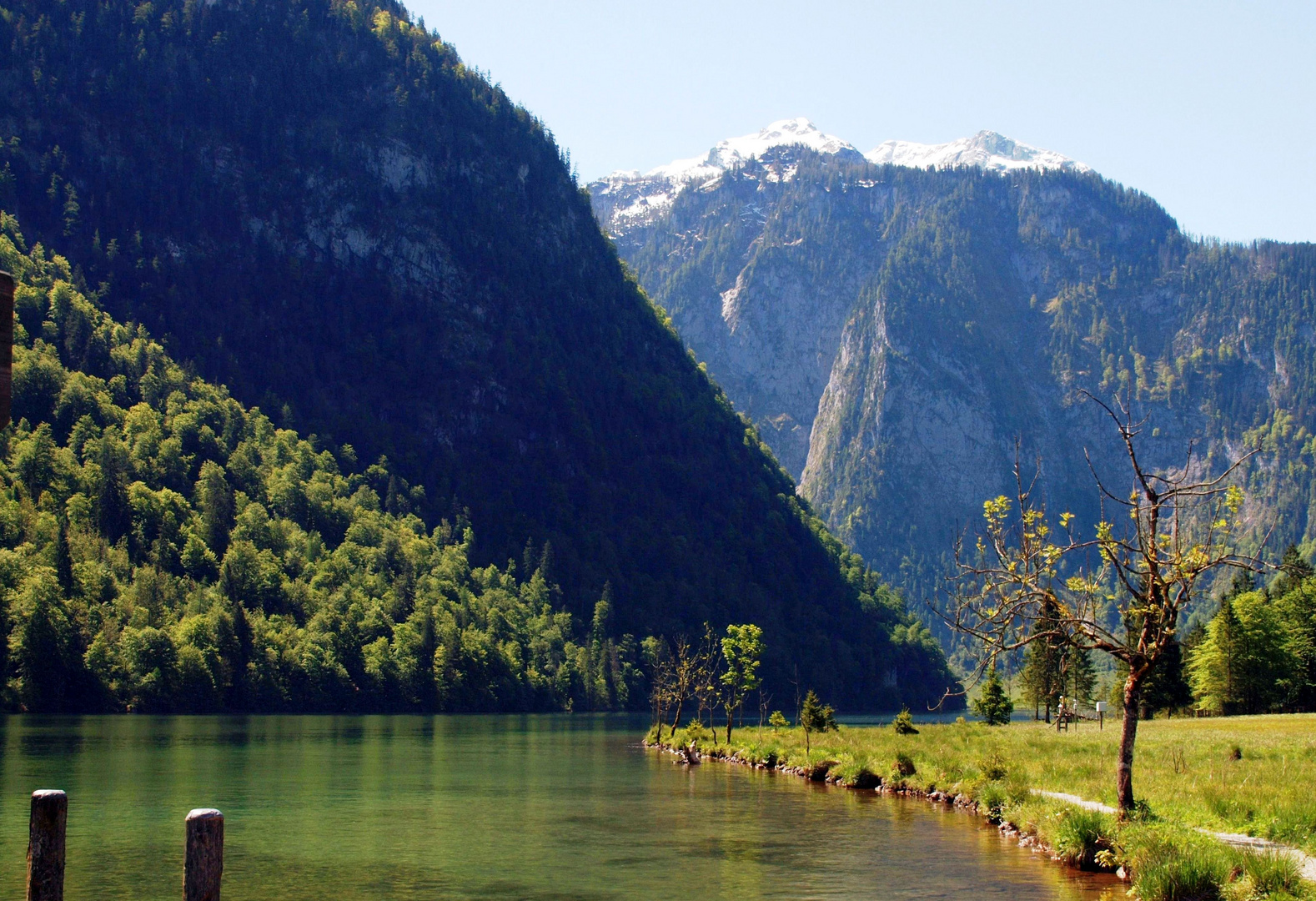 Frühlingserwachen am Königssee