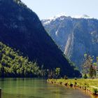 Frühlingserwachen am Königssee